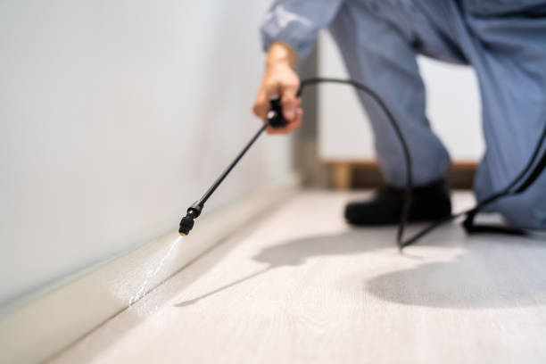 Licensed Pest Control service in Colbert, OK - Show Me Pest Control