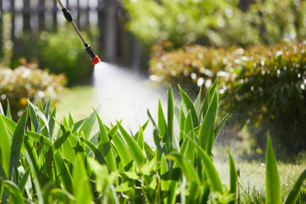 24/7 Emergency Mosquito Control experts in Colbert, OK
